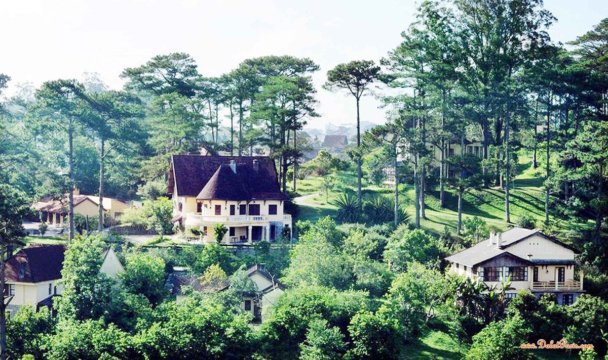 Đất nông nghiệp ngay trung tâm, View rừng thông, DT gần 15000m2, sát bên khu Biệt thự cổ Trần Hưng Đạo, phù hợp đầu tư điểm du lịch sinh thái, giá 145 tỷ (10tr/m2)