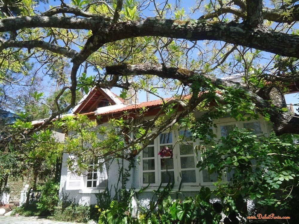 Đất xây biệt thự, view đẹp, DT 451m2 full thổ cư, khu vực sang trọng, gần trục đường Phù Đổng Thiên Vương, khu Biệt thự giáo sư Đại Học Đà Lạt. Phù hợp an cư nghỉ dưỡng, đầu tư, kinh doanh khách sạn. Giá tốt đầu tư 22 tỷ.