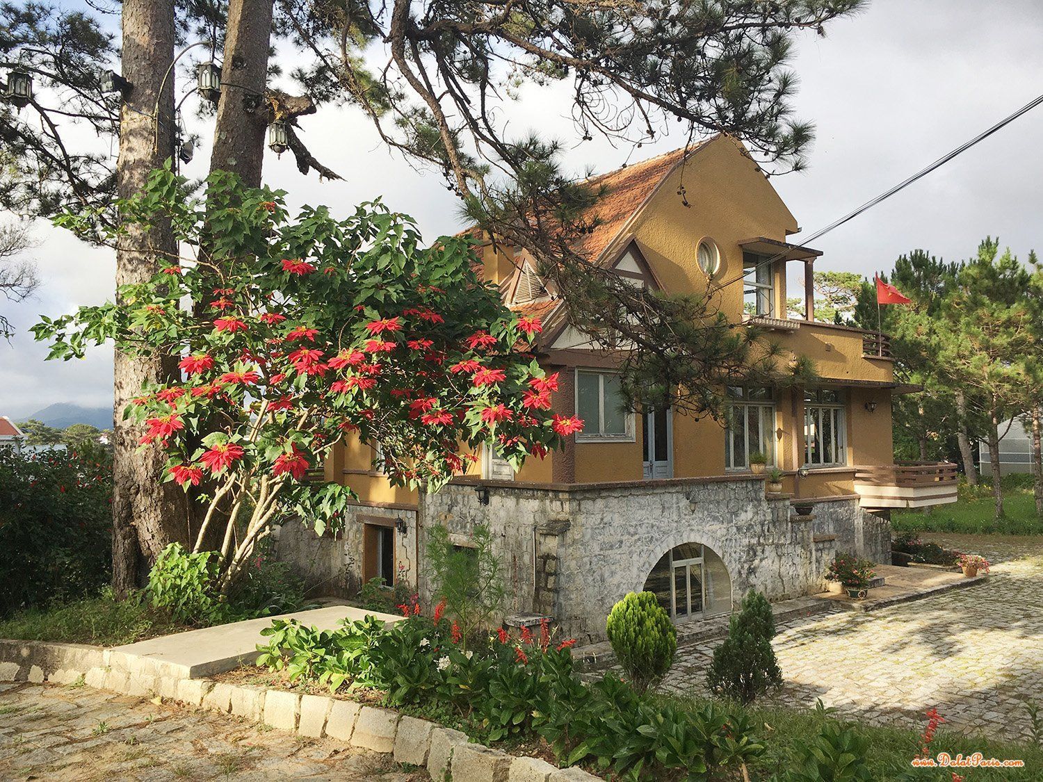 Biệt thự sân vườn, view rừng thông đẹp, đường Đặng Thái Thân phường 3 Đà Lạt, Cách Dinh 2 500m, cách Hồ Xuân Hương 1,5km. Giá 37 tỷ