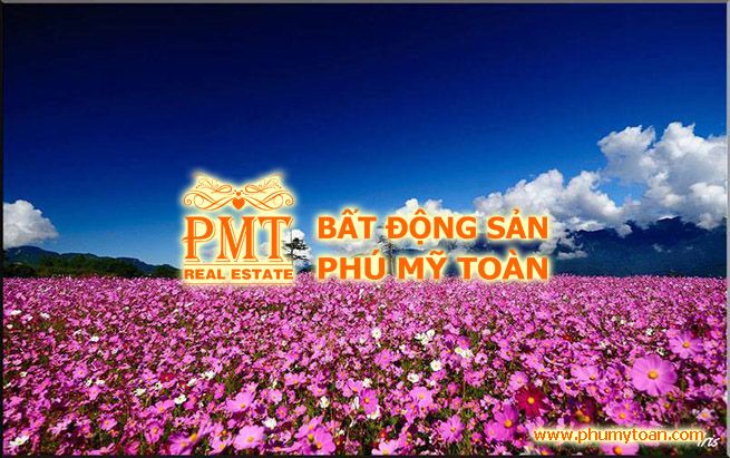 Đất nền biệt thự 2 mặt tiền diện tích 320m2 đường Tô Hiến Thành, Phường 3. Khu vực nhiều villa khách sạn. thích hợp xây dựng biệt thự nghỉ dưỡng, kinh doanh khách sạn. Giá 24 tỷ