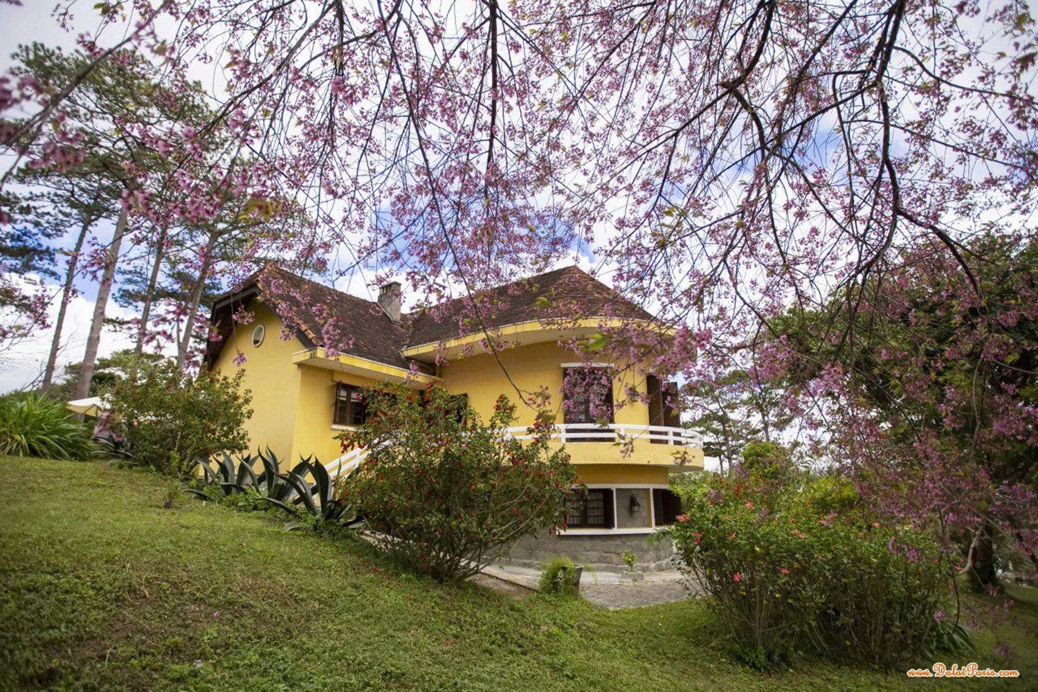 Đất nông nghiệp chuyển được full thổ cư đường Thái Phiên, P12, Đà Lạt. DT: 629.91m2, cách HXH khoản 5km, gần Hồ Than Thở. Dân cư đông đúc. Giá 12 tỷ