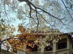 Đất Biệt thự mặt tiền Đường chính Măng lin, view rừng thông đường nhựa ô tô 10m, thích hợp an cư nghỉ dưỡng, Xây Homestay, biệt thự nghỉ dưỡng, giá 6.5tỷ